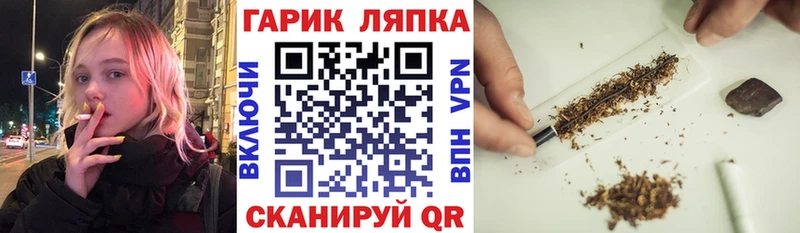 ГАШ Premium  Петропавловск-Камчатский 