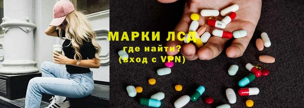 ГАЛЛЮЦИНОГЕННЫЕ ГРИБЫ Аркадак