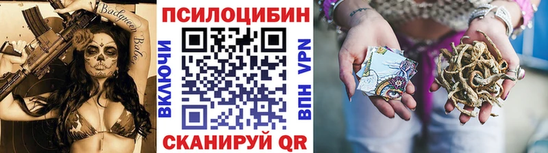 Псилоцибиновые грибы Cubensis  Петропавловск-Камчатский 