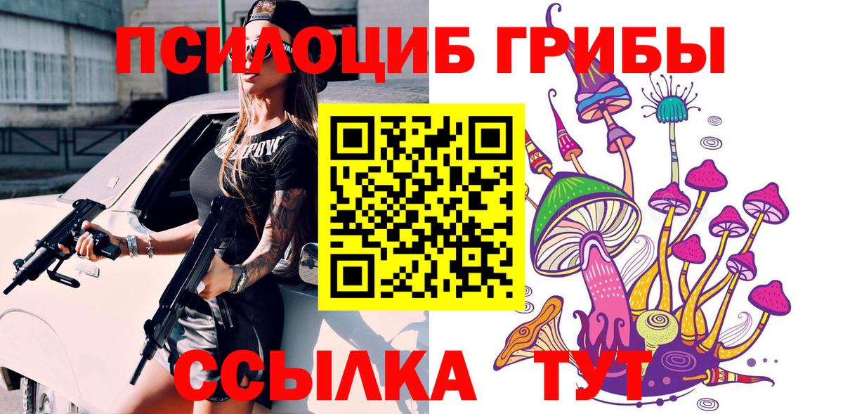 Псилоцибиновые грибы Psilocybine cubensis Петропавловск-Камчатский
